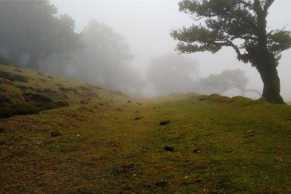 Callimis Lasting Relationships - Image 3